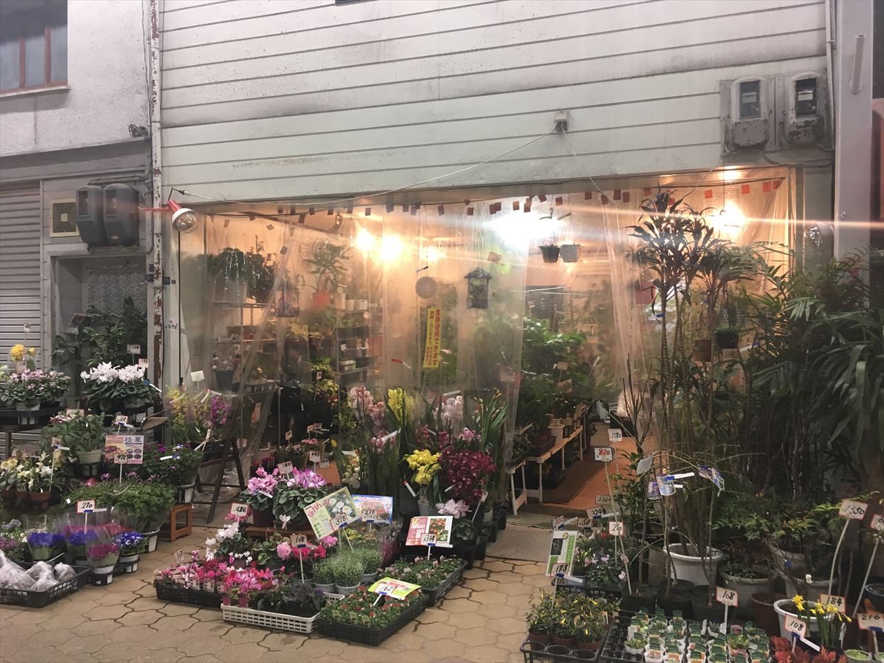 末澤園芸